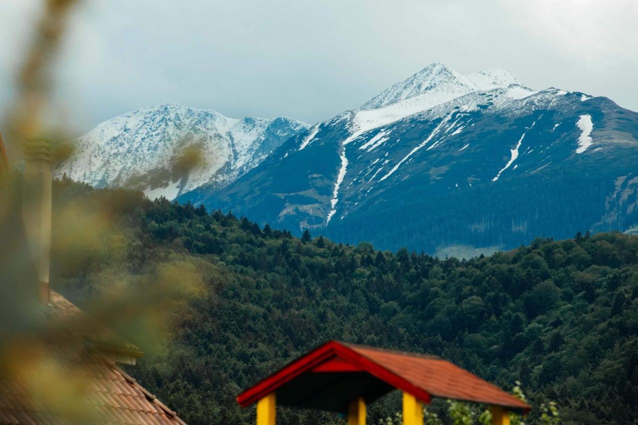 Pensiunea Sophia Statiunea Climaterica Sambata Buitenkant foto