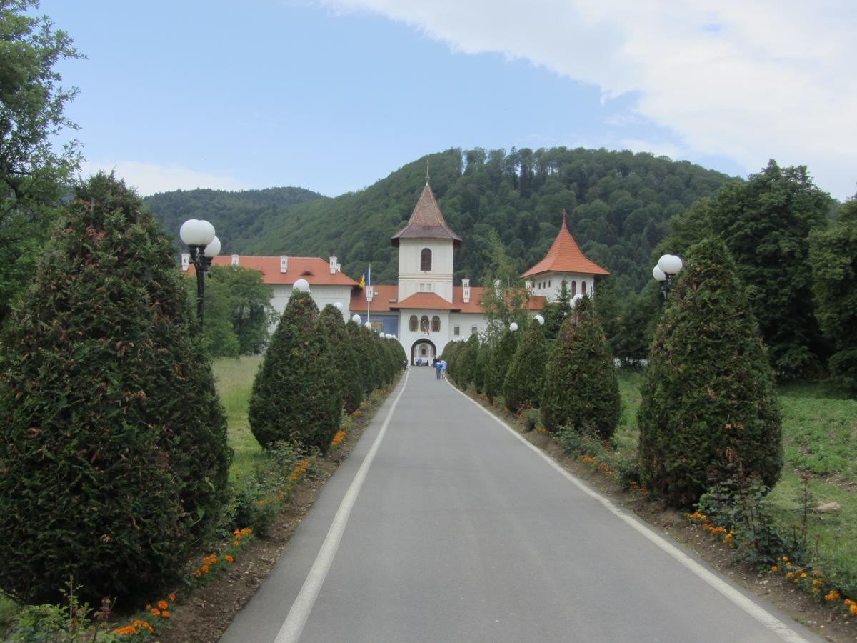 Pensiunea Sophia Statiunea Climaterica Sambata Buitenkant foto