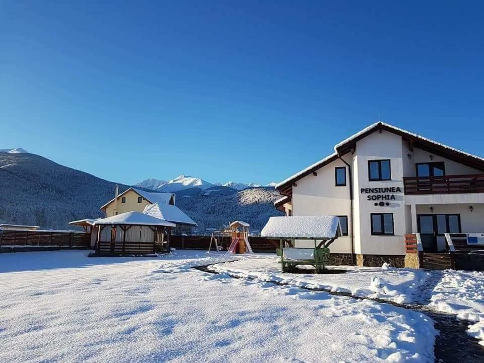 Pensiunea Sophia Statiunea Climaterica Sambata Buitenkant foto