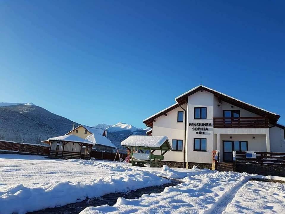 Pensiunea Sophia Statiunea Climaterica Sambata Buitenkant foto