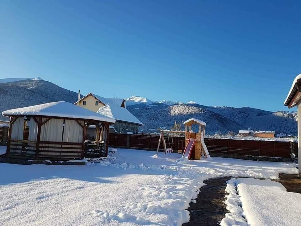 Pensiunea Sophia Statiunea Climaterica Sambata Buitenkant foto